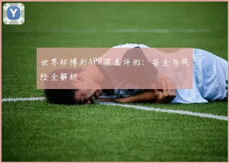 世界杯博彩APP深度评测：安全与风险全解析