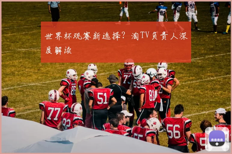 世界杯观赛新选择？淘TV负责人深度解读
