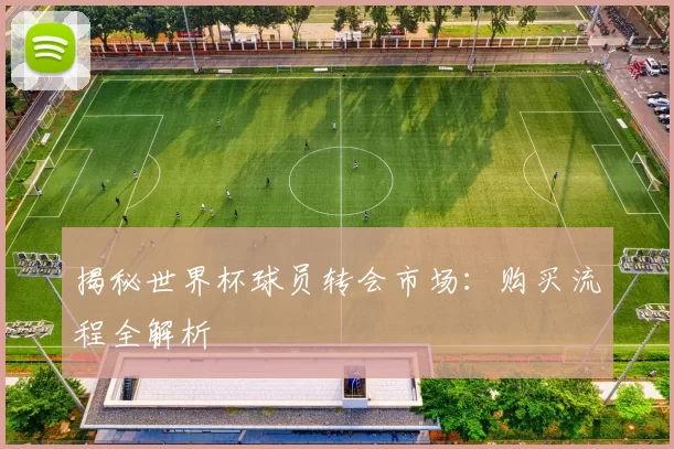 揭秘世界杯球员转会市场：购买流程全解析