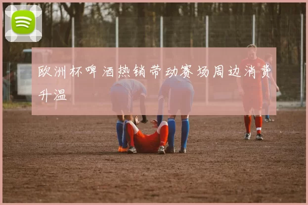 欧洲杯啤酒热销带动赛场周边消费升温