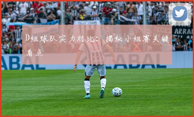 D组球队实力对比：揭秘小组赛关键看点