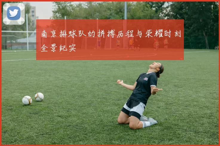 南京排球队的拼搏历程与荣耀时刻全景纪实