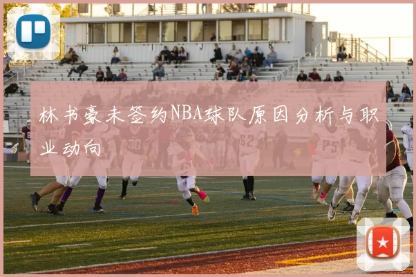 林书豪未签约NBA球队原因分析与职业动向