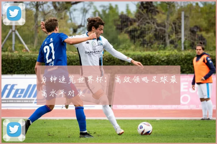 分钟速览世界杯：高效领略足球最高水平对决
