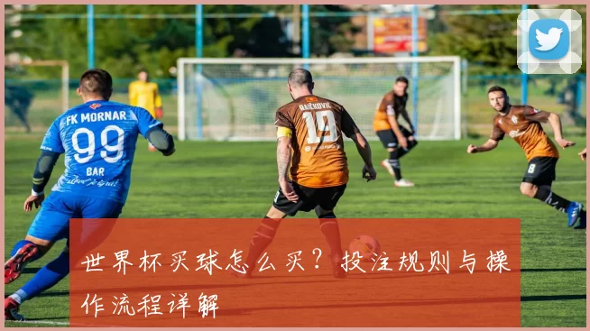 世界杯买球怎么买？投注规则与操作流程详解