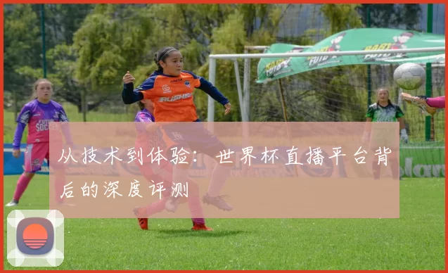 从技术到体验：世界杯直播平台背后的深度评测