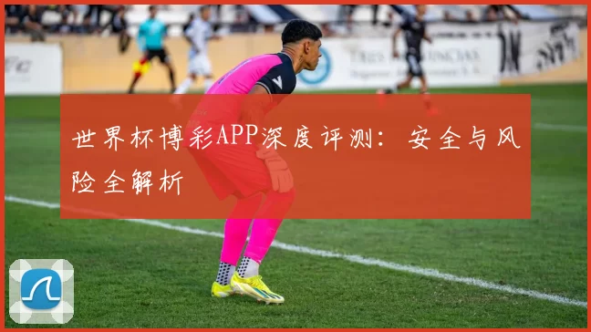 世界杯博彩APP深度评测：安全与风险全解析