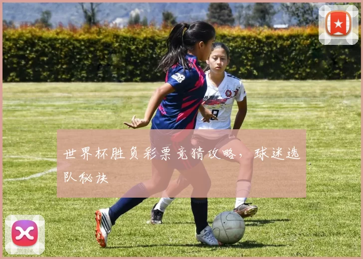 世界杯胜负彩票竞猜攻略，球迷选队秘诀