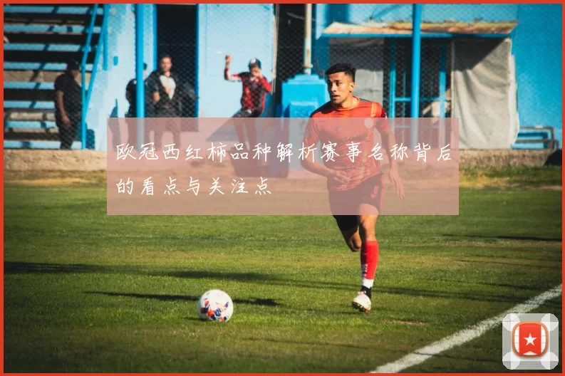 欧冠西红柿品种解析赛事名称背后的看点与关注点