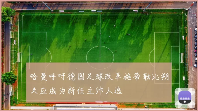 哈曼呼吁德国足球改革施蒂勒比朔夫应成为新任主帅人选