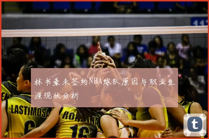 林书豪未签约NBA球队原因与职业生涯现状分析