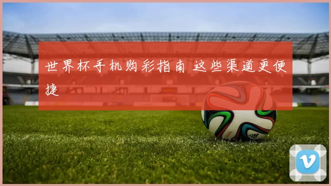 世界杯手机购彩指南 这些渠道更便捷