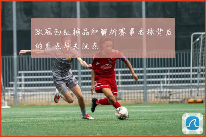 欧冠西红柿品种解析赛事名称背后的看点与关注点