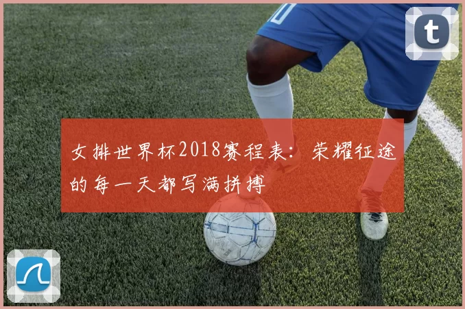 女排世界杯2018赛程表：荣耀征途的每一天都写满拼搏