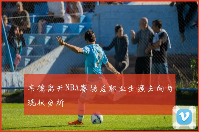 韦德离开NBA赛场后职业生涯去向与现状分析