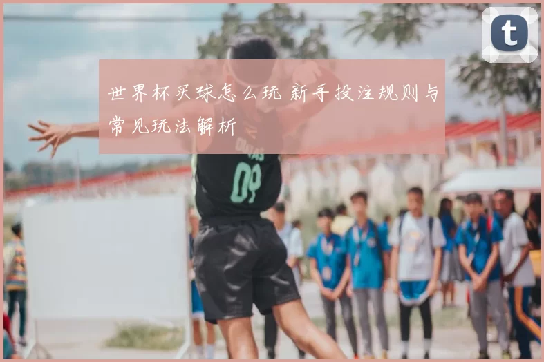 世界杯买球怎么玩 新手投注规则与常见玩法解析