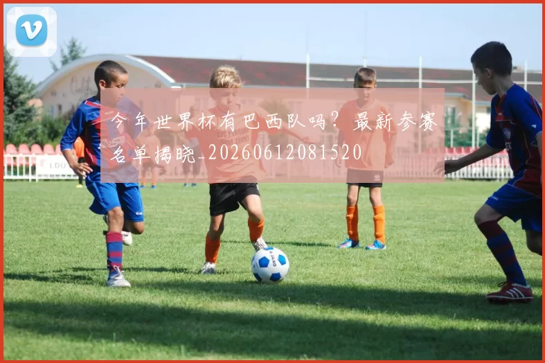 今年世界杯有巴西队吗？最新参赛名单揭晓_20260612081520