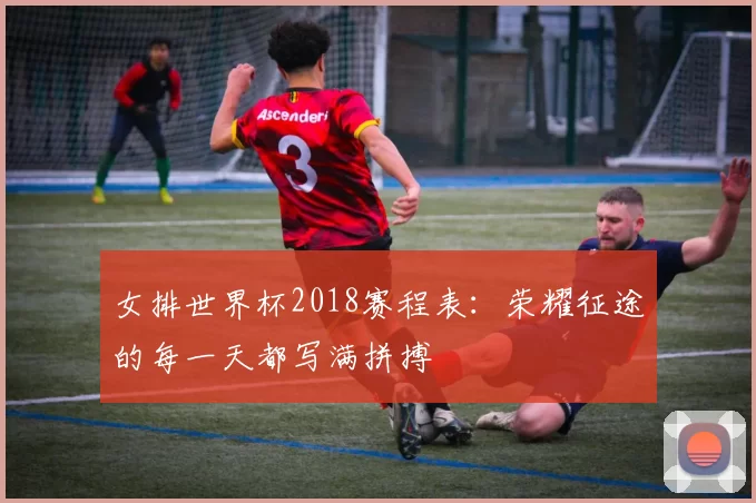 女排世界杯2018赛程表：荣耀征途的每一天都写满拼搏
